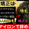 【癖強い人限定】崩れにくいヘアアイロンのやり方を紹介します【縮毛矯正やめたい】