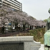 桜の旅　4日目　鹿児島県