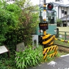 　五月雨に時代の波も聞き分けん