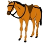 【追い切り注目馬（先週の回顧）】【アジア競馬連盟T】【インディアT】【赤倉特別】【香嵐渓特別】他　2024/8/31(土) 新潟・中京・札幌競馬　オープンにも見通し