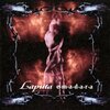 Laputa「REINCARNATION MORNING」 