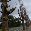 苦情が入ったかな・・・。