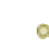 つぼみ