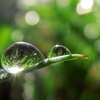 雨の朝と電子帳簿保存法