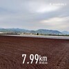 夕方🌇ラン🏃7.99km