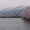 桜と雨の日本海
