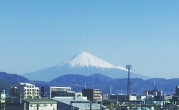 記事を見る