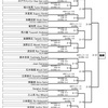 本日は第19回全日本マスター柔術選手権3日目です。