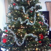 恒例の我が家のクリスマスツリー