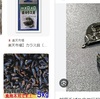 クロダイ用のカラス貝フライは、フライと呼べるのか？