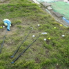 稲刈りはマダです、草取りも一段落･･･ゴルフの練習再開