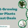 5 Fast-Growing Indoor Plants For Fast Oasis