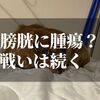 犬の膀胱腫瘍の検査で・・・【愛犬コジロウ頑張ります】