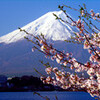 『富士山の日』