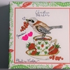 No.49 Christine Ferber   Assortiment de chocolats Oiseau et fruit