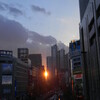 ビルの谷間の夕陽