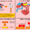 次世代のフォンタン