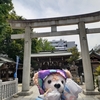 #下谷神社#花手水#ジェニーちゃん