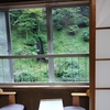 涼しい温泉に来ています