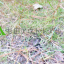 杉田アウトドアblog