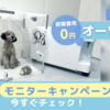 国民をバカにするんじゃない