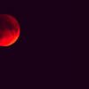 紅い月が魅せた、一夜の奇跡ーVISUAL PRISON 1st GIG -RED MOON-感想