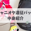 【遠征バッグ中身紹介】リュックで身軽に！ジャニオタ1泊2日の荷物公開