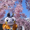２回目の宇都宮・大谷日帰りお出かけ【アートと桜】