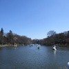 3月14日井の頭公園で