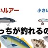 大きいルアーと小さいルアー　釣れるのはどっち？