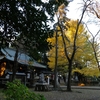 野木神社（栃木県野木町）