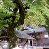 豊岡市 伊福部神社