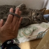 くろめ　お腹ゴシゴシ