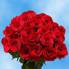 Make the occasion lavish with garden fresh flowers in India