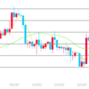 今週のFX取引日記（21/12/19）－南アランド/円の含み益が拡大