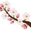 都立桜修館中 2025年度入試 出願手続き説明会 11月25日開催 申込先着順