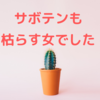 サボテンも枯らす女でした
