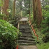 御岩山・斎神社の「天井雲龍図」と「杜の蜃気楼」・・