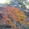 御岳渓谷_紅葉（東京都青梅市）