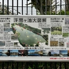 浮間ヶ池（東京都板橋）