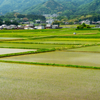 伊賀風景（５月２０日）