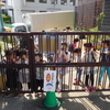 今日の幼稚園