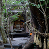 八大龍王神社へ