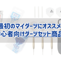 考察 ダーツは身長が高い方が有利なのか ほーたろダーツ