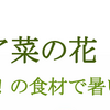 デイケア　菜の花🌷🌻　栄養教室～第三回～