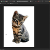 【Windows】Affinity Photoでふわふわした動物を切り抜いて背景を白にする方法