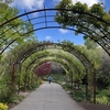 ショック！植物園散策ポイントが！