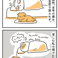 【犬漫画】コロナワクチン2回目の副反応でダウンした飼い主と同調する犬