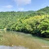 さよならグリーン〜目指せ105歳〜