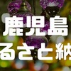 うなぎ？それとも焼酎？『ふるさと納税』王国・鹿児島のおすすめ返礼品９種を紹介するよ